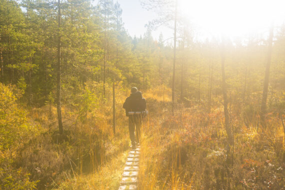 Höstpromenad i skogen.